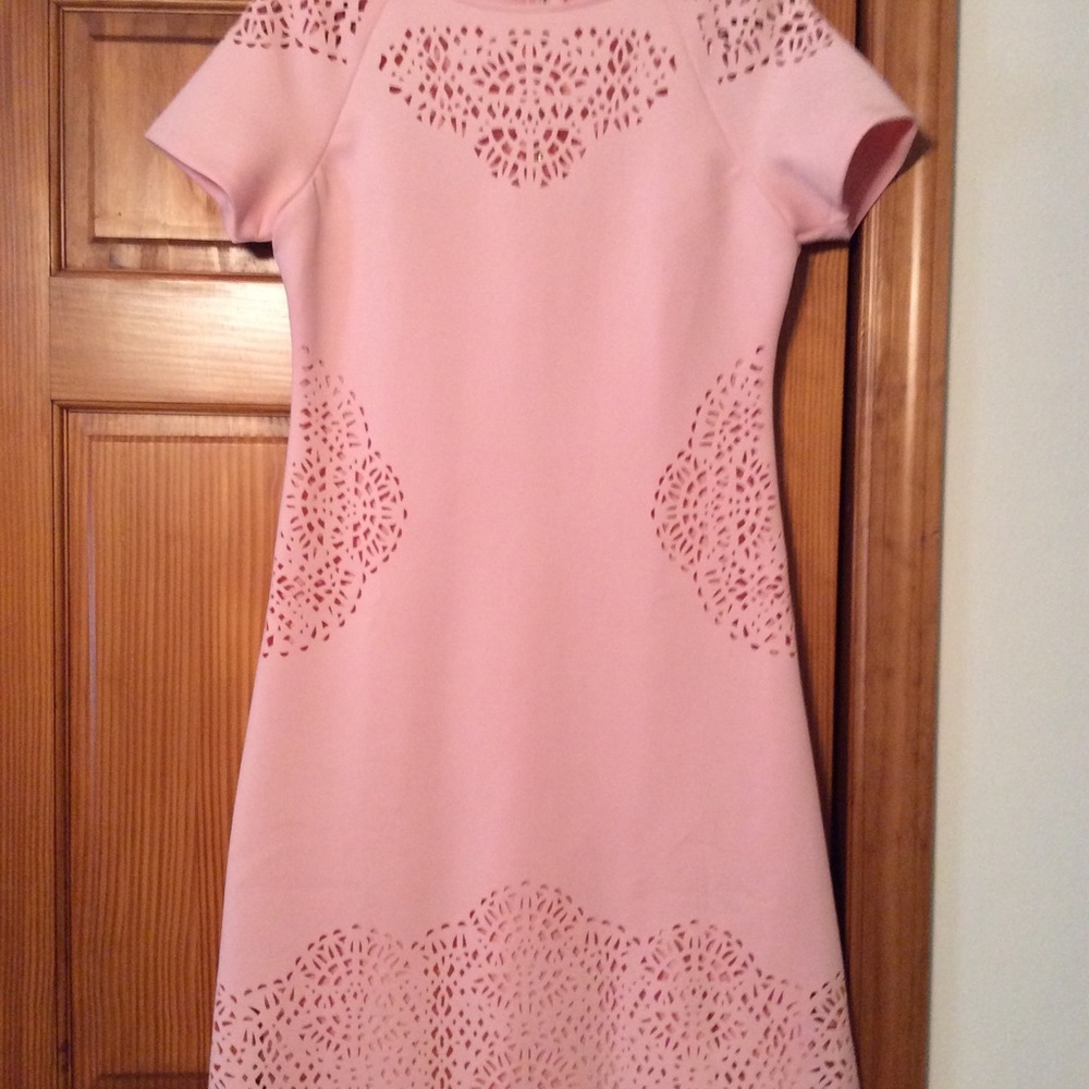 Tahari Pink Cut Out Dress New with Tags